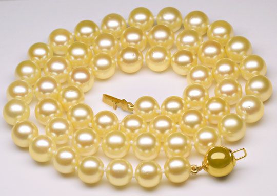 Foto 1 - Akoya Perlenkette 7 7,5mm Goldfarbene Perlen, S6813